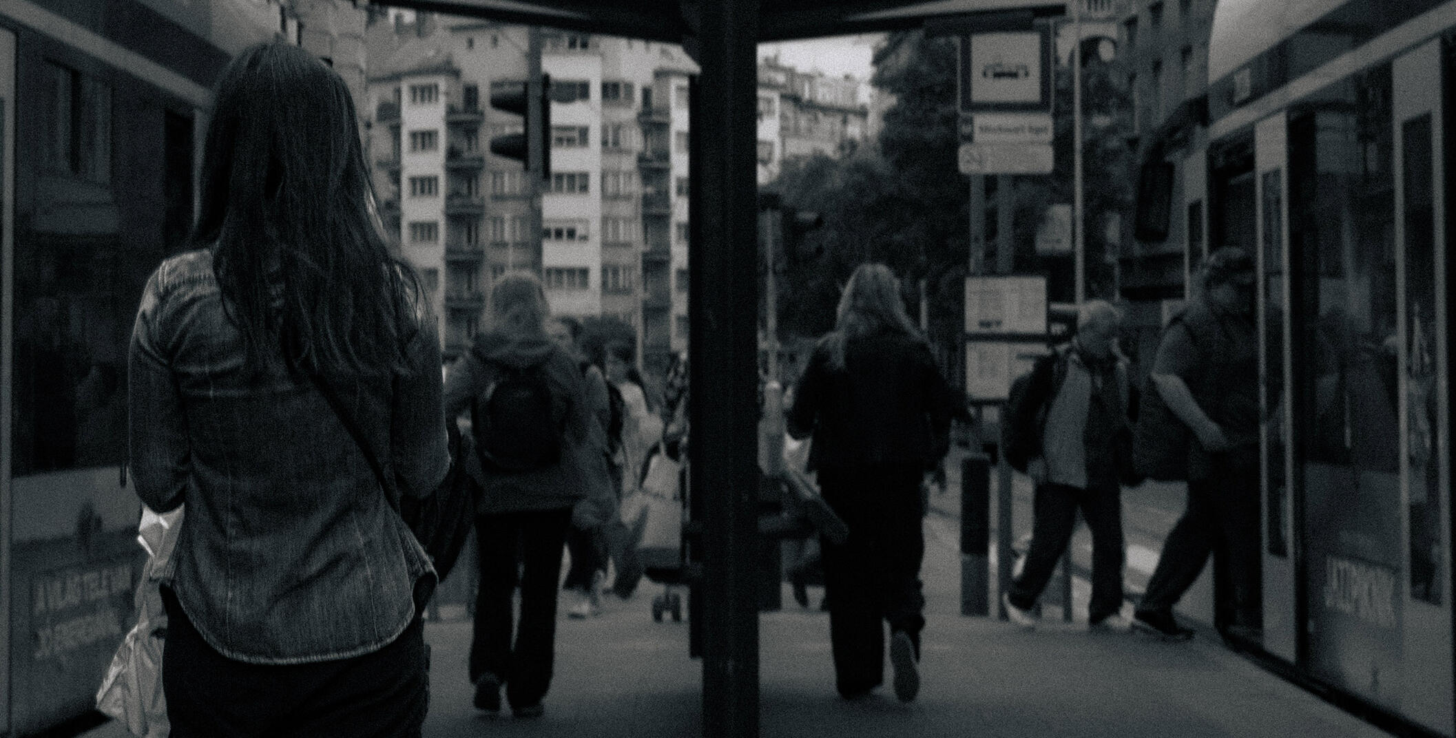 Zsigmond Gergely - Zaj