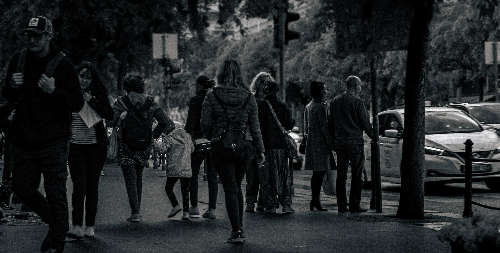 Zsigmond Gergely - Zaj